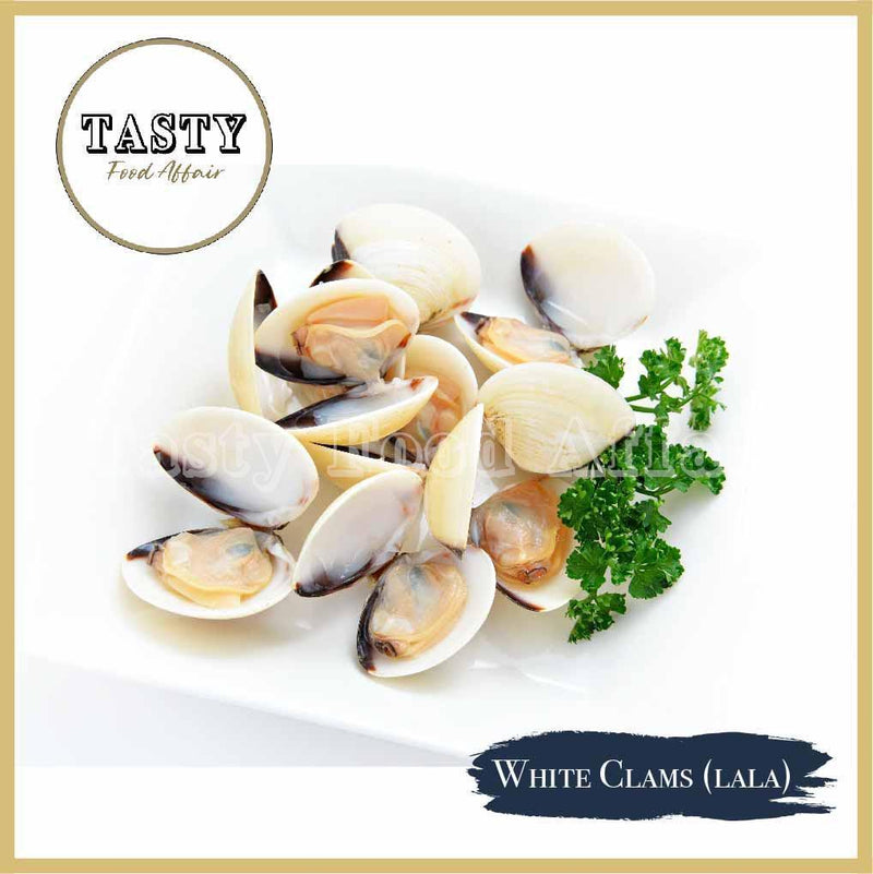 Asiatic White Clams (Lala)